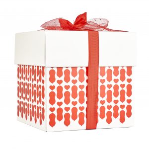 Cubo Grande "White - Red"